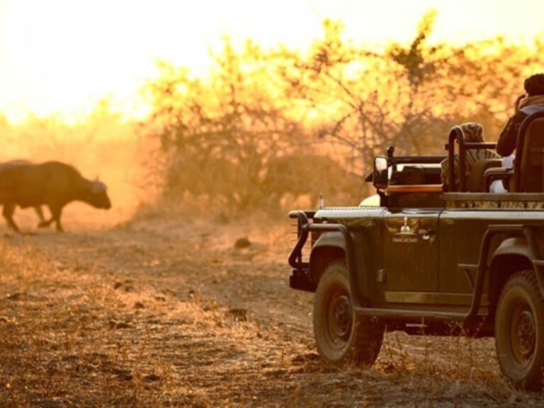 Tanzania Odyssey
