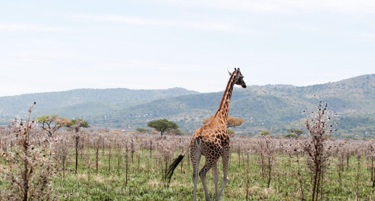 Get seriously off-the-beaten track
