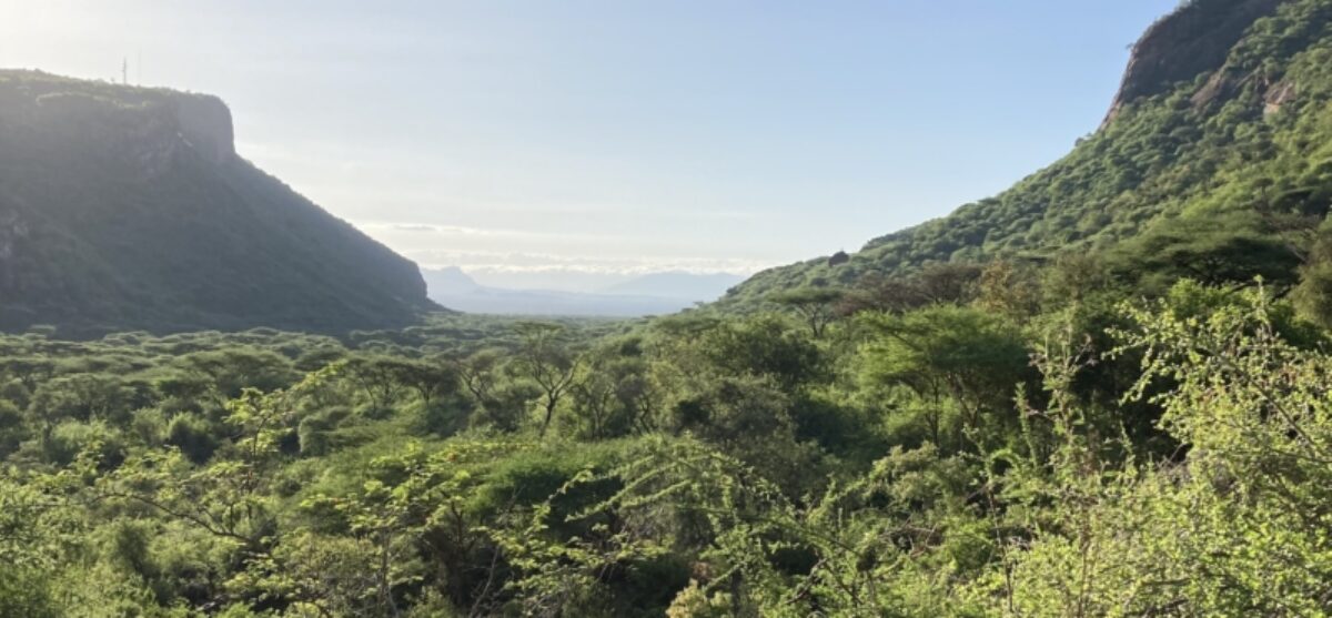 Ololokwe - Mathews