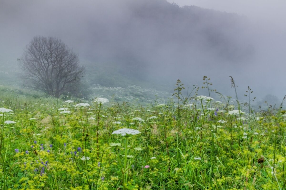 Parz Lake to Dilijan