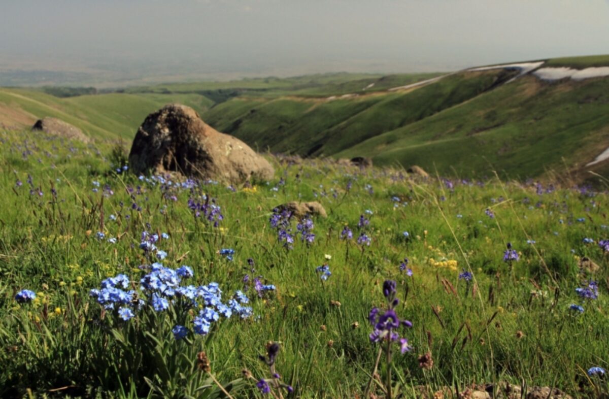 Climb Mt Aragats