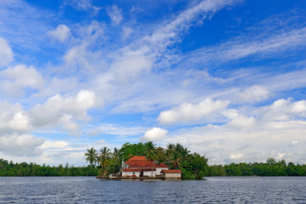 Escape Bentota and explore the mangrove forests of Madu Ganga
