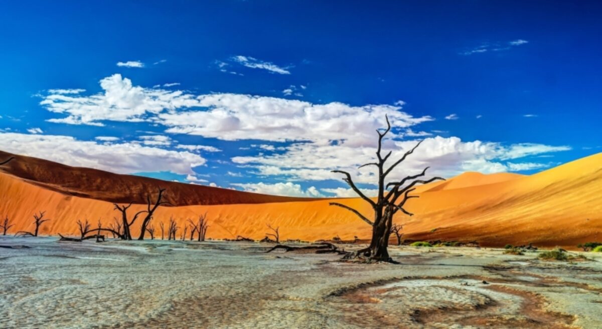 Namib-Naukluft National Park: Sossusvlei and Deadvlei