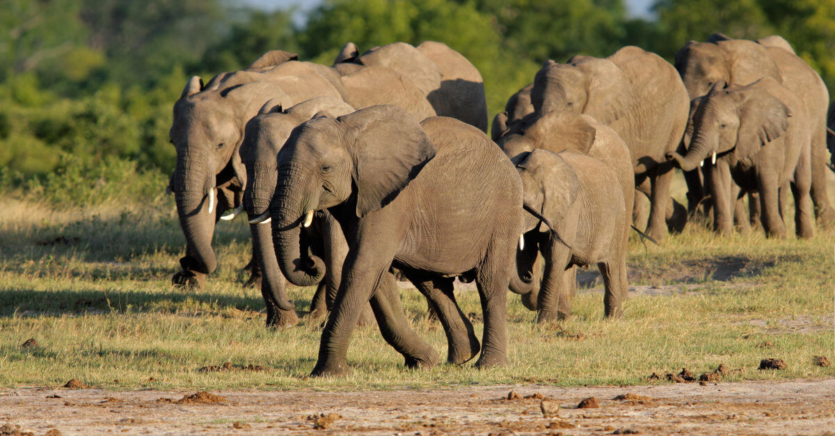 Hwange National Park
