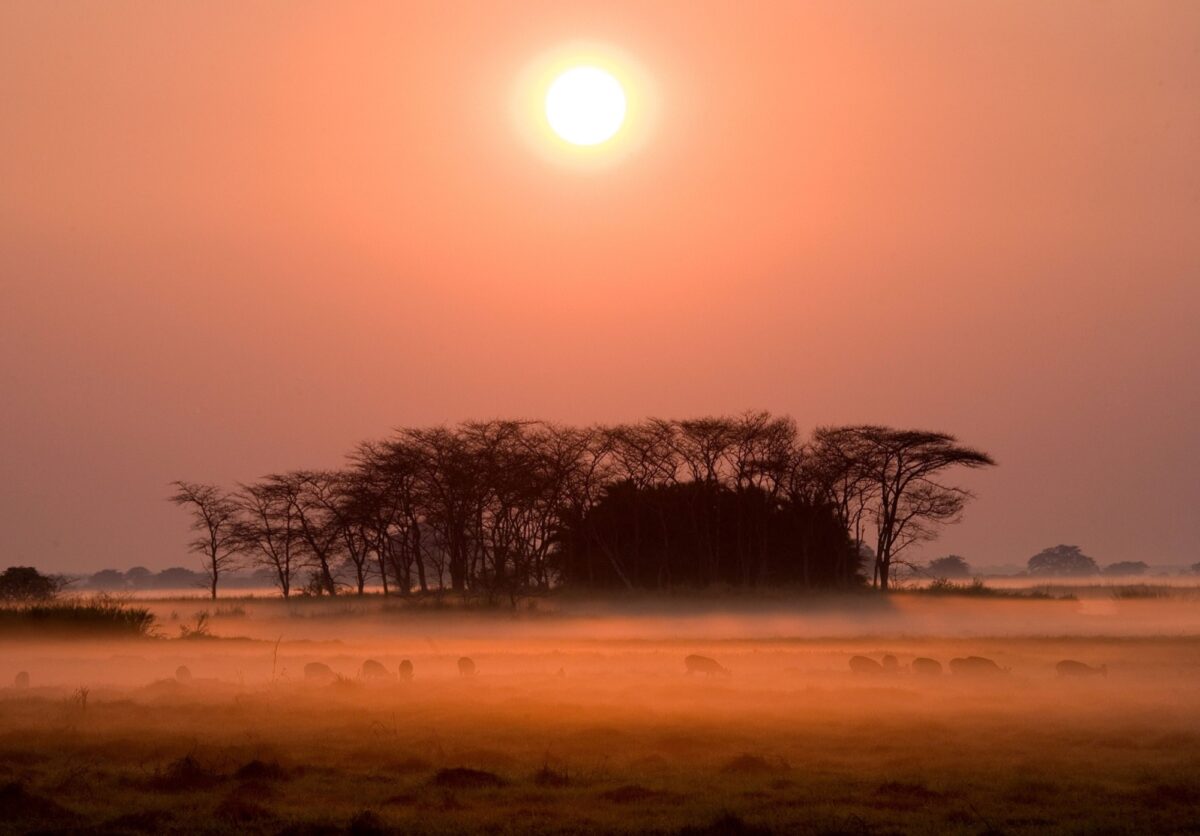 Kafue National Park