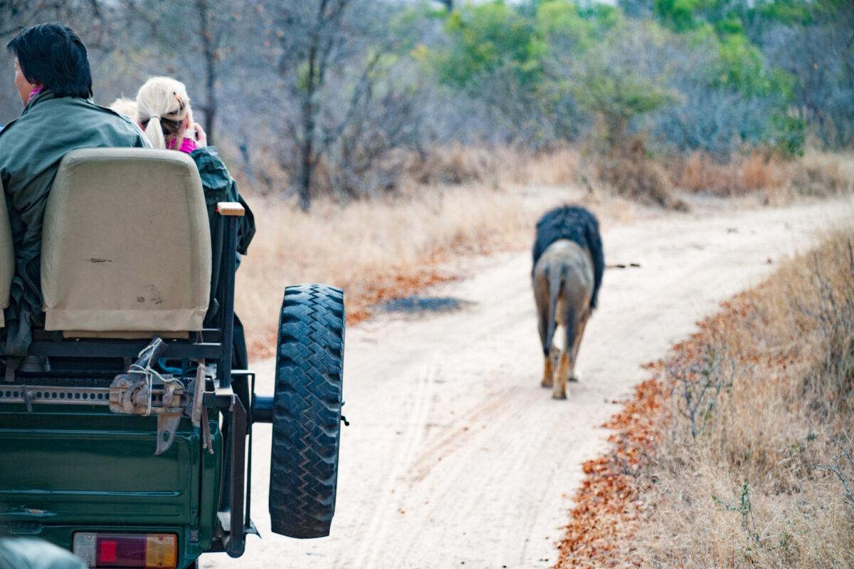 Kapama Game Reserve