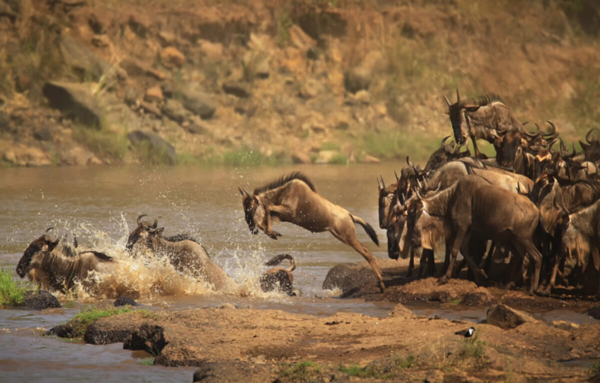 To the Masai Mara