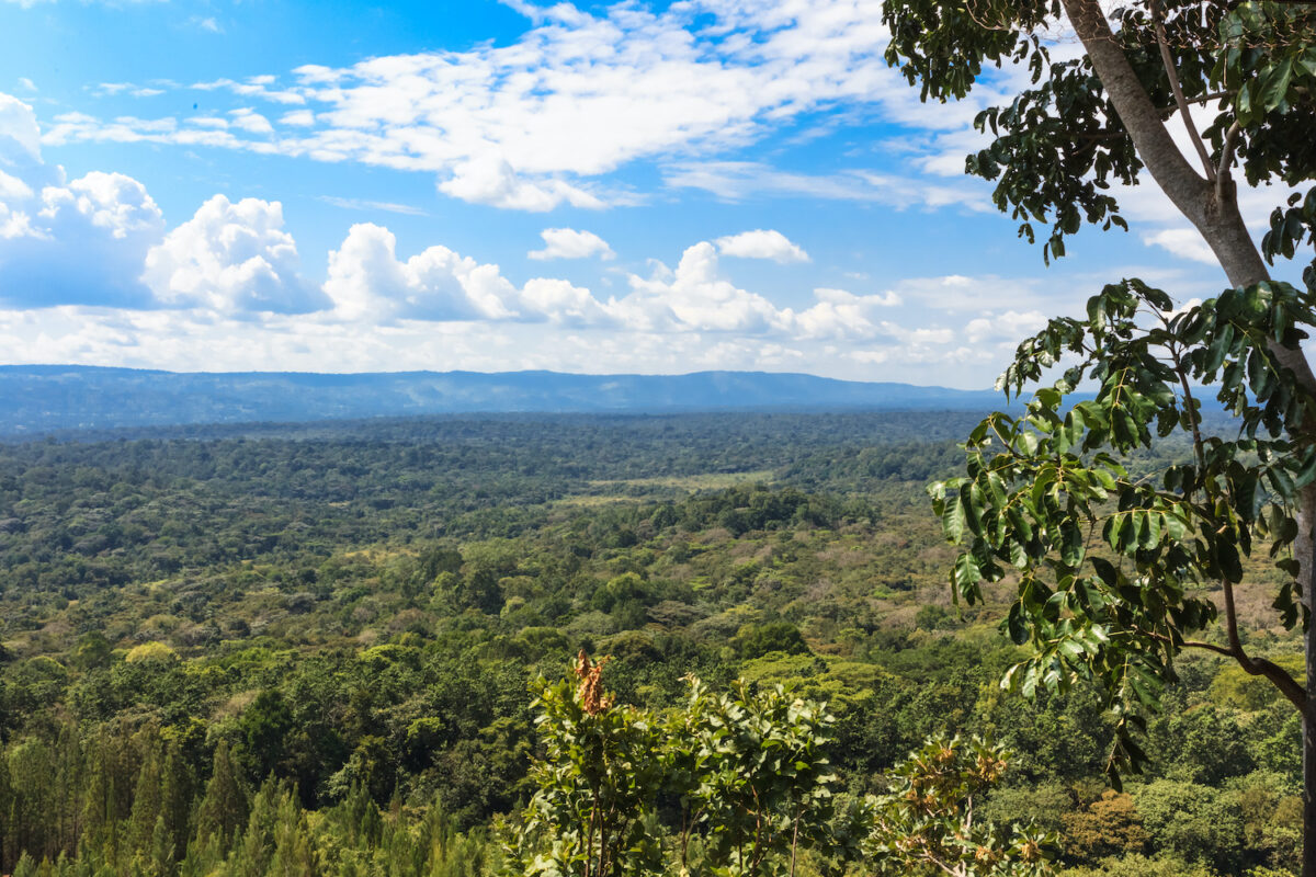 Kenya’s safari hidden gem