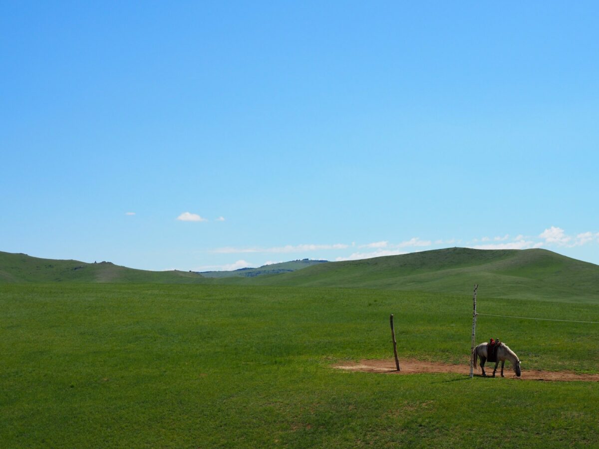 Khustain Nuruu National Park