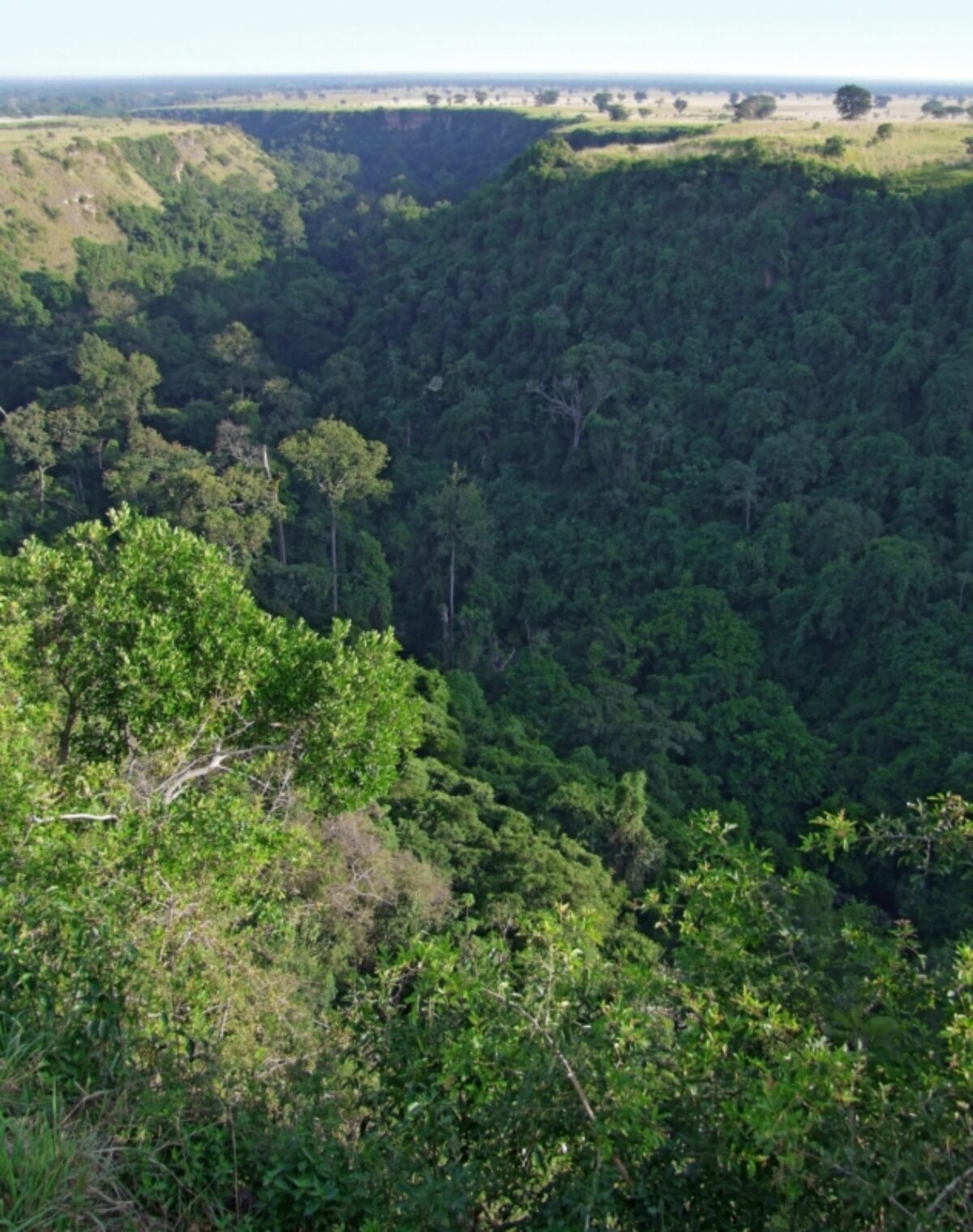 Low cost chimp trekking at Kyambura Gorge