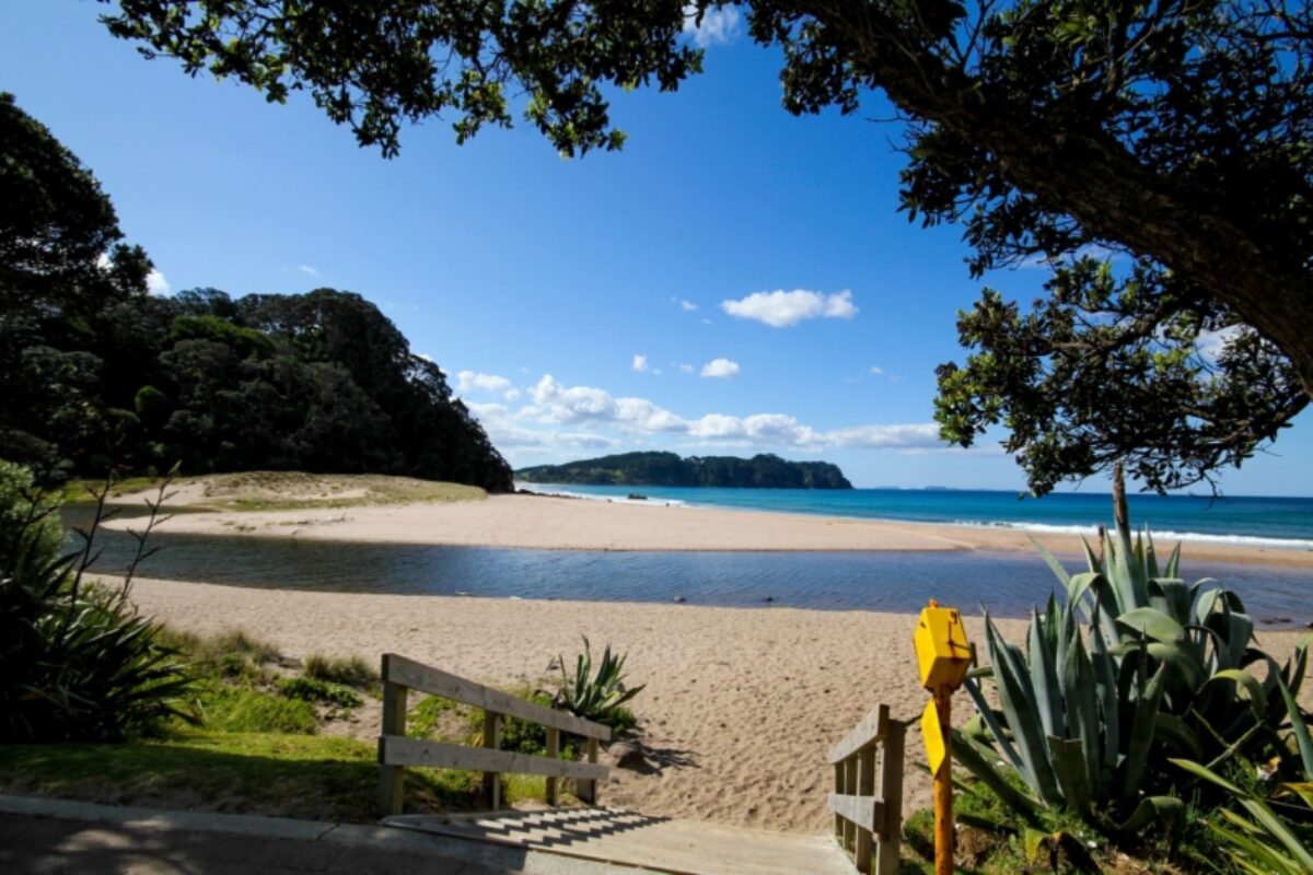 Coromandel Coastal Walkway day hike