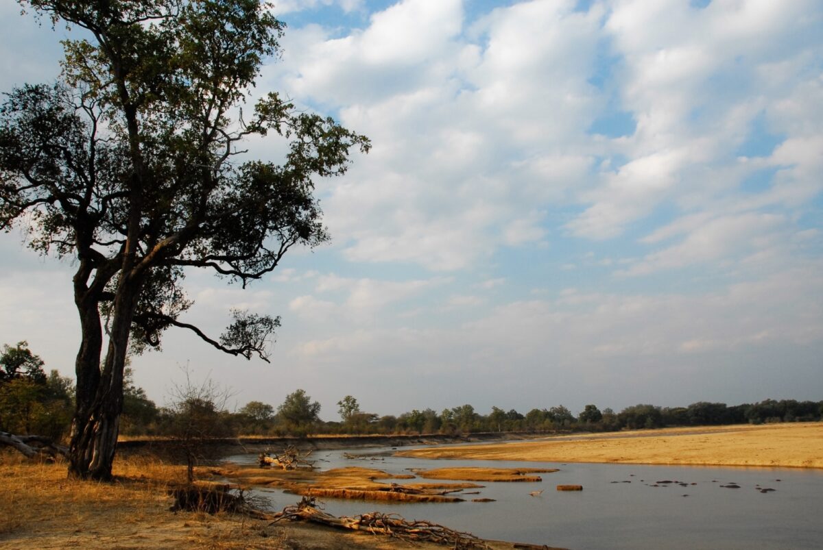 Walking safari in North Luangwa