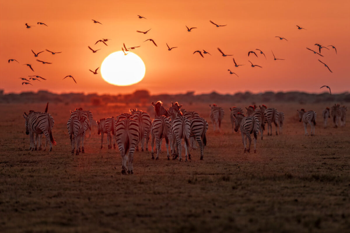 Nxai Pan National Park