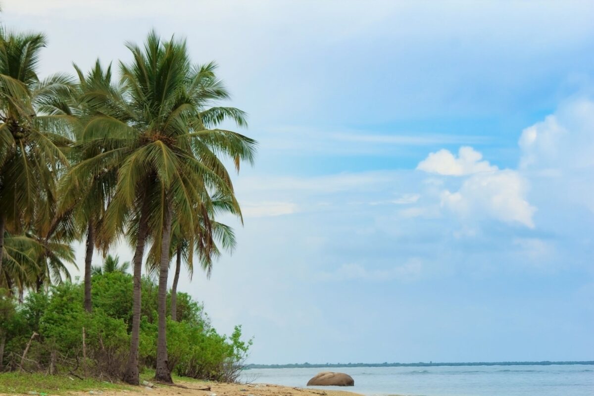 Diving & snorkelling on the eastern coast