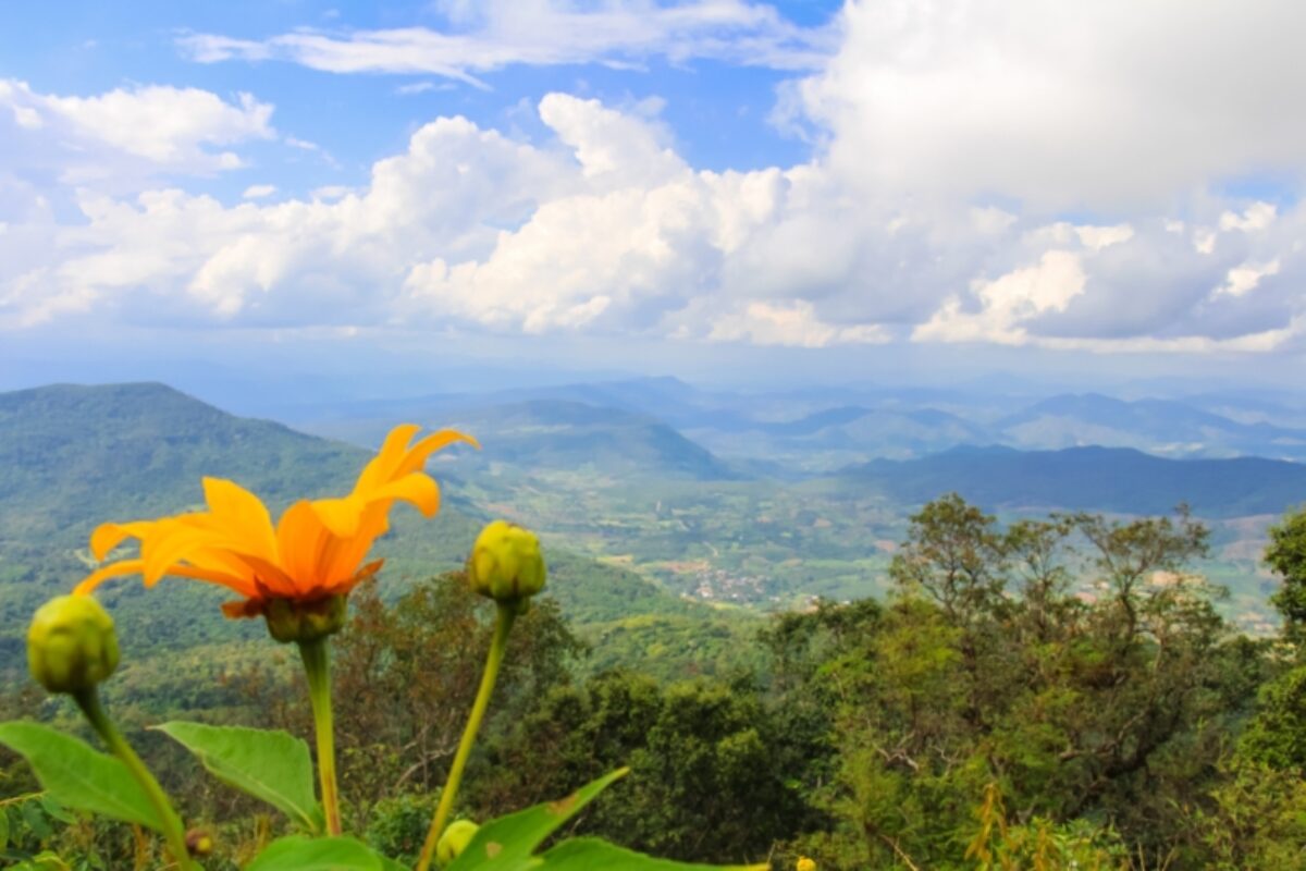 Get off the beaten path in Loei