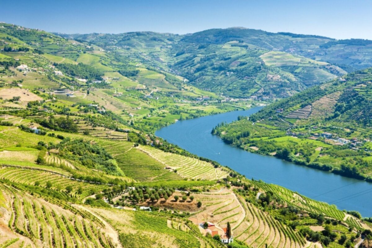 Douro Valley walking holidays
