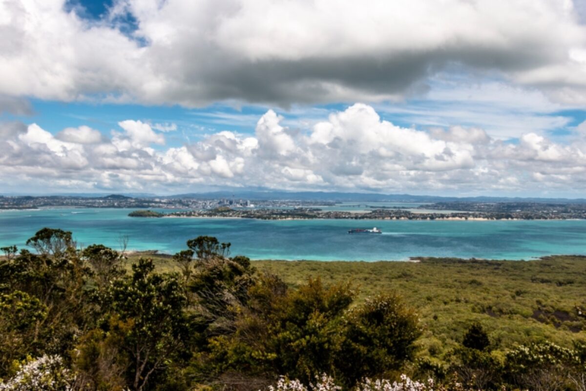 Rangitoto Island day hike