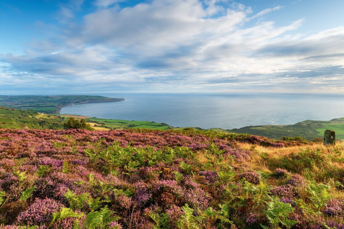 Wainwright's Coast to Coast Path
