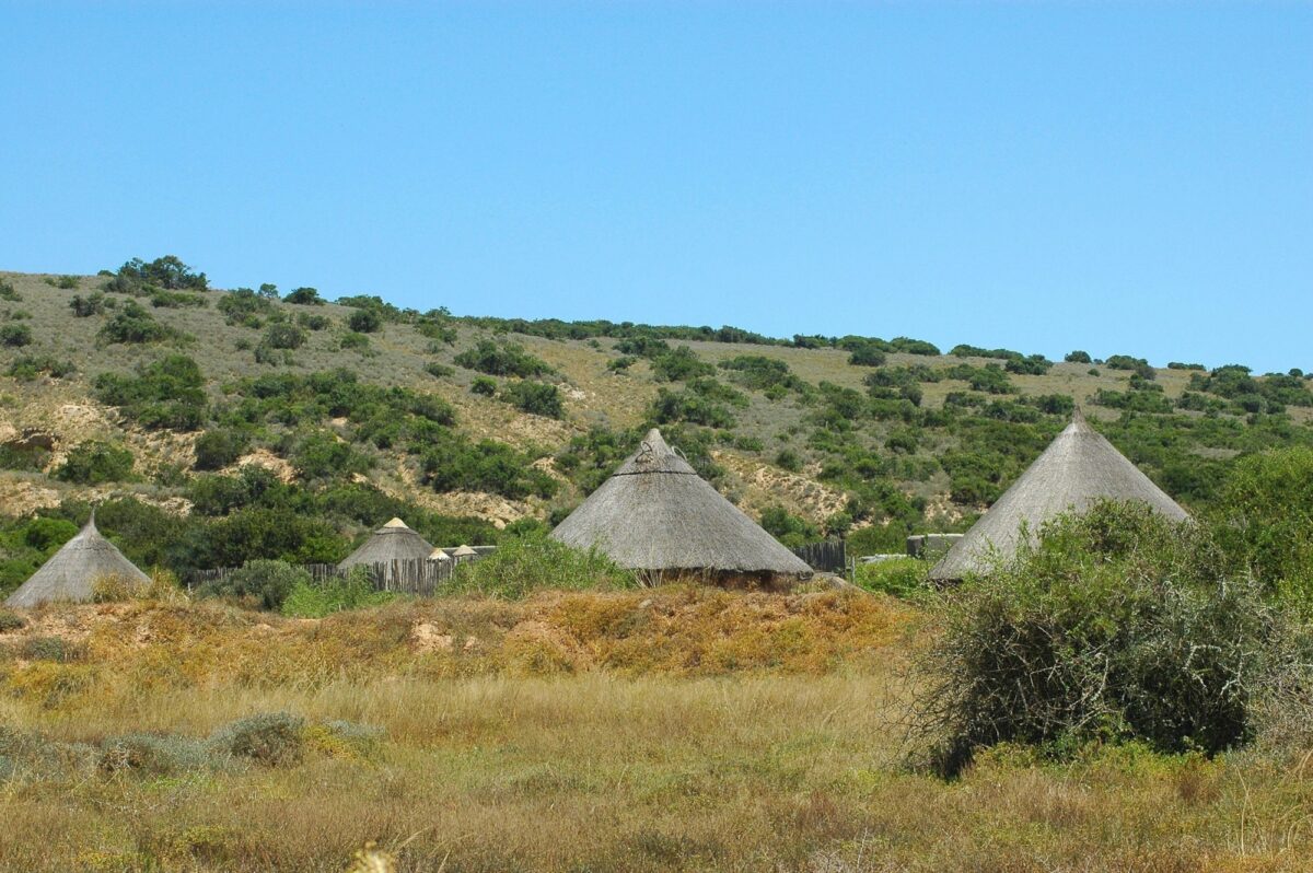 Shamwari Game Reserve﻿