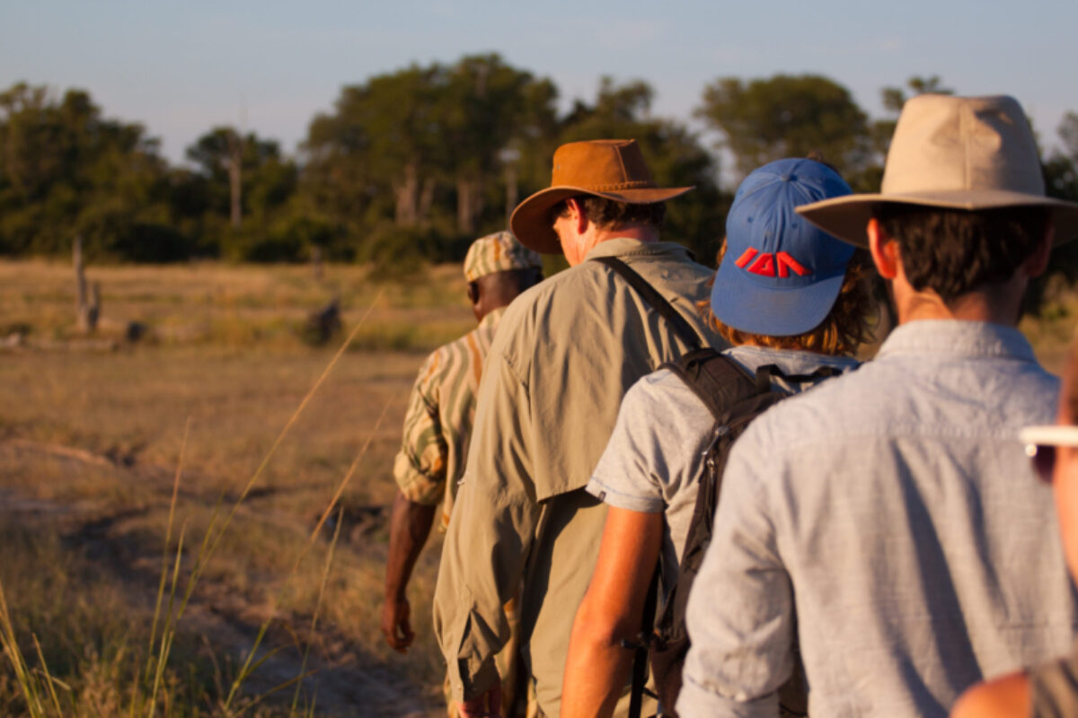 South Luangwa National Park