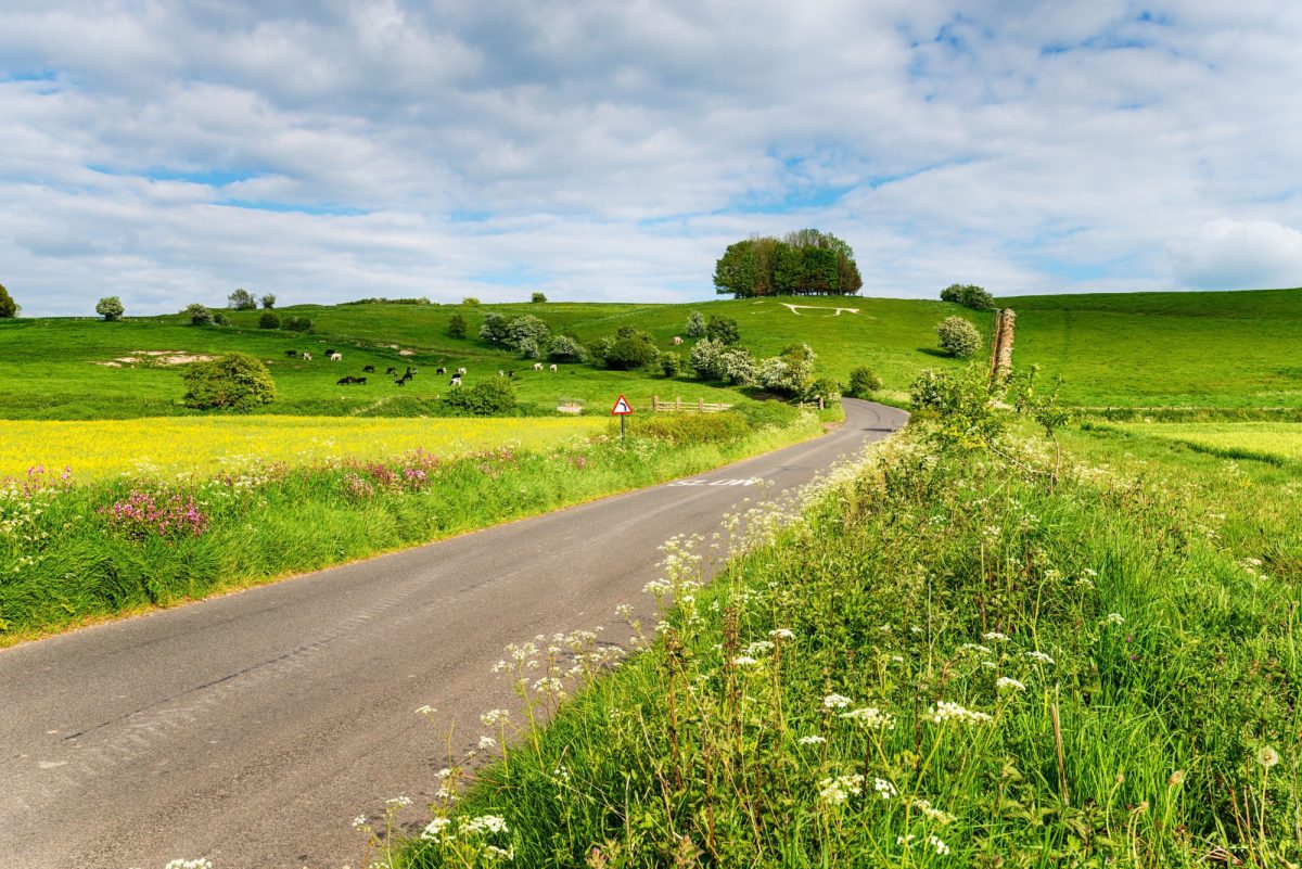 The White Horse Trail