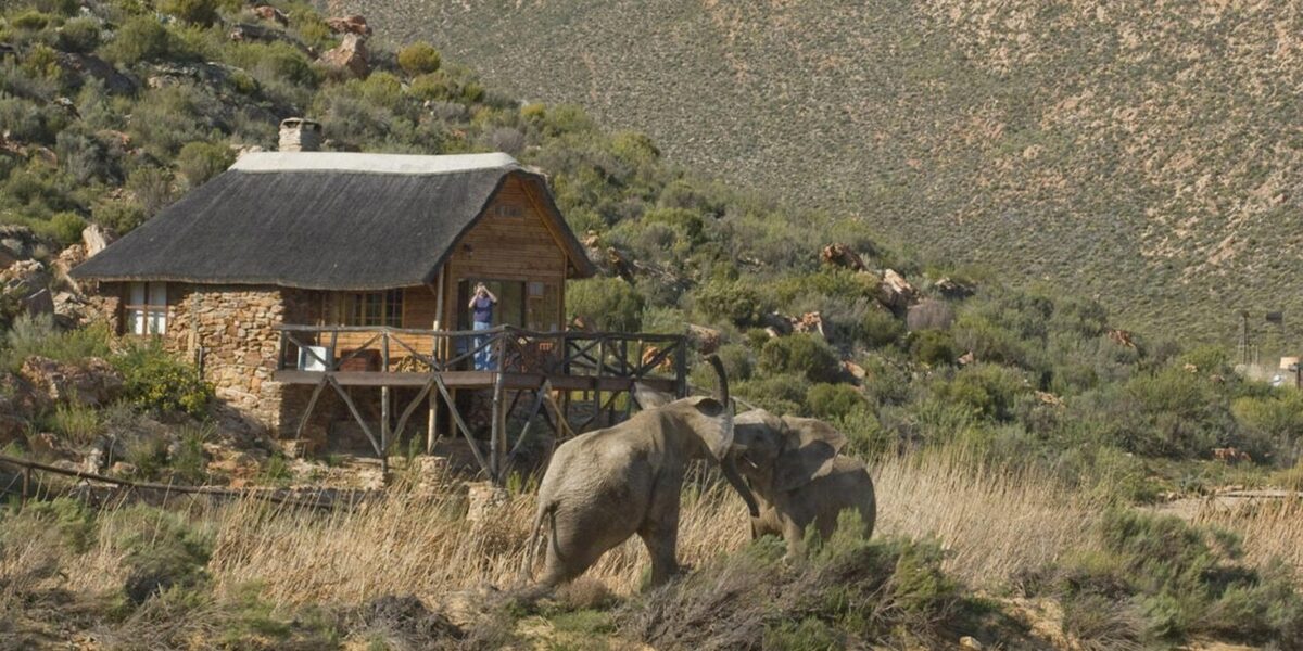 Aquila Private Game Reserve