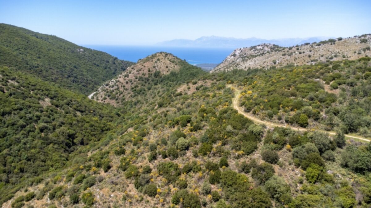 The Corfu Trail