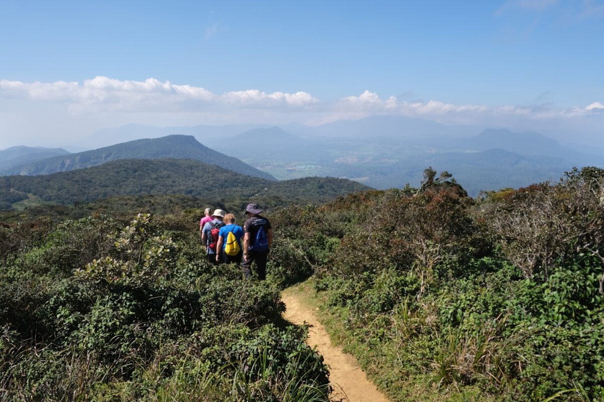 Hiking in Horton Plans