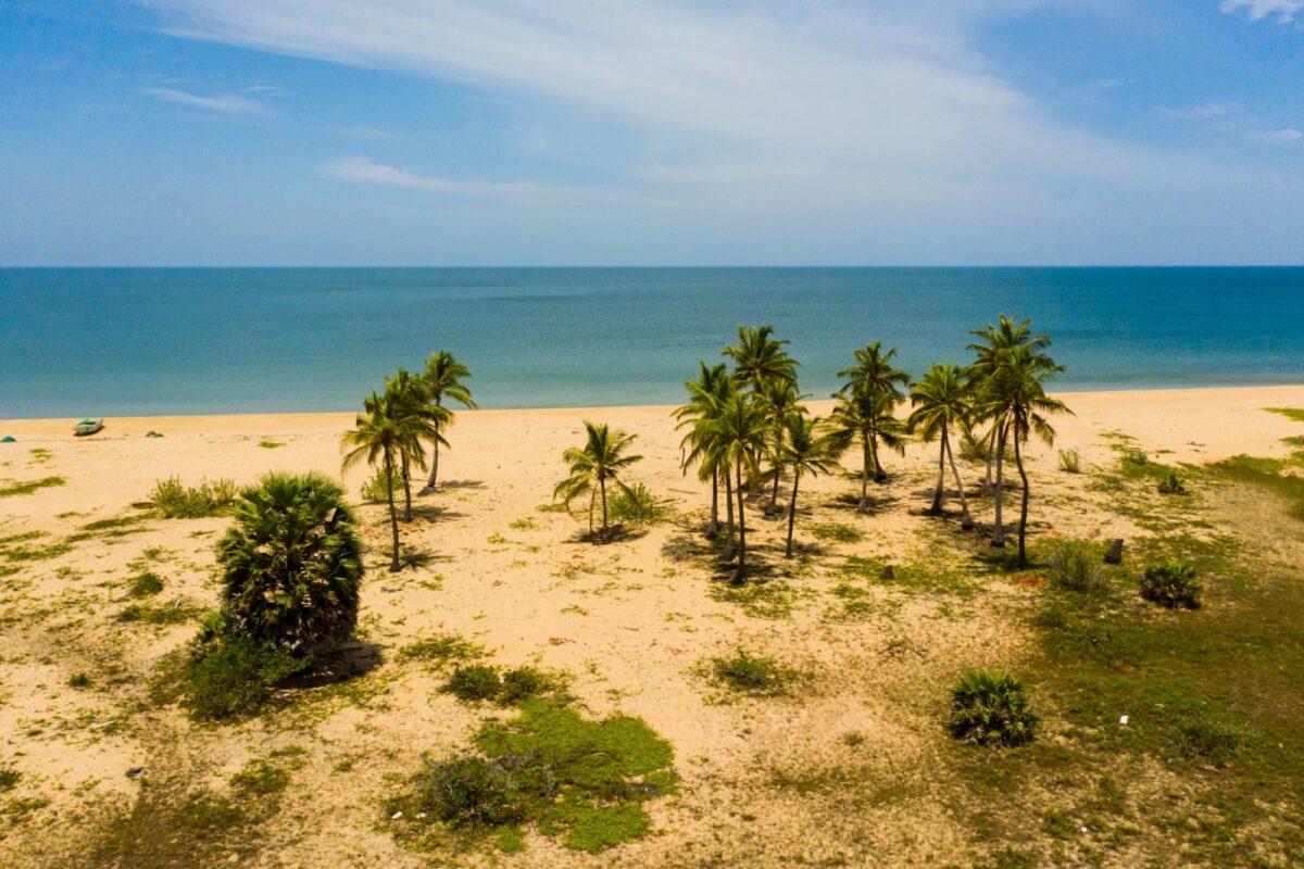 Casuarina beach