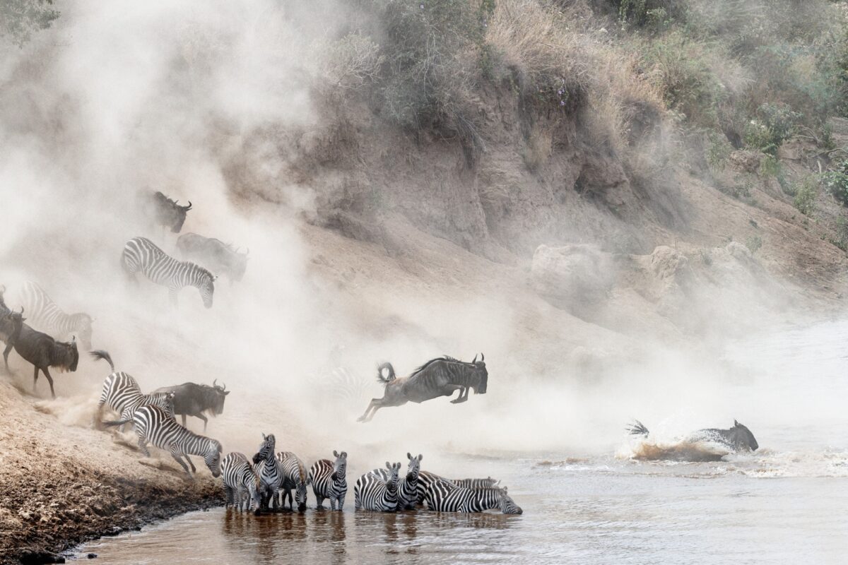 Witness the migration river crossings – but expect crowds!