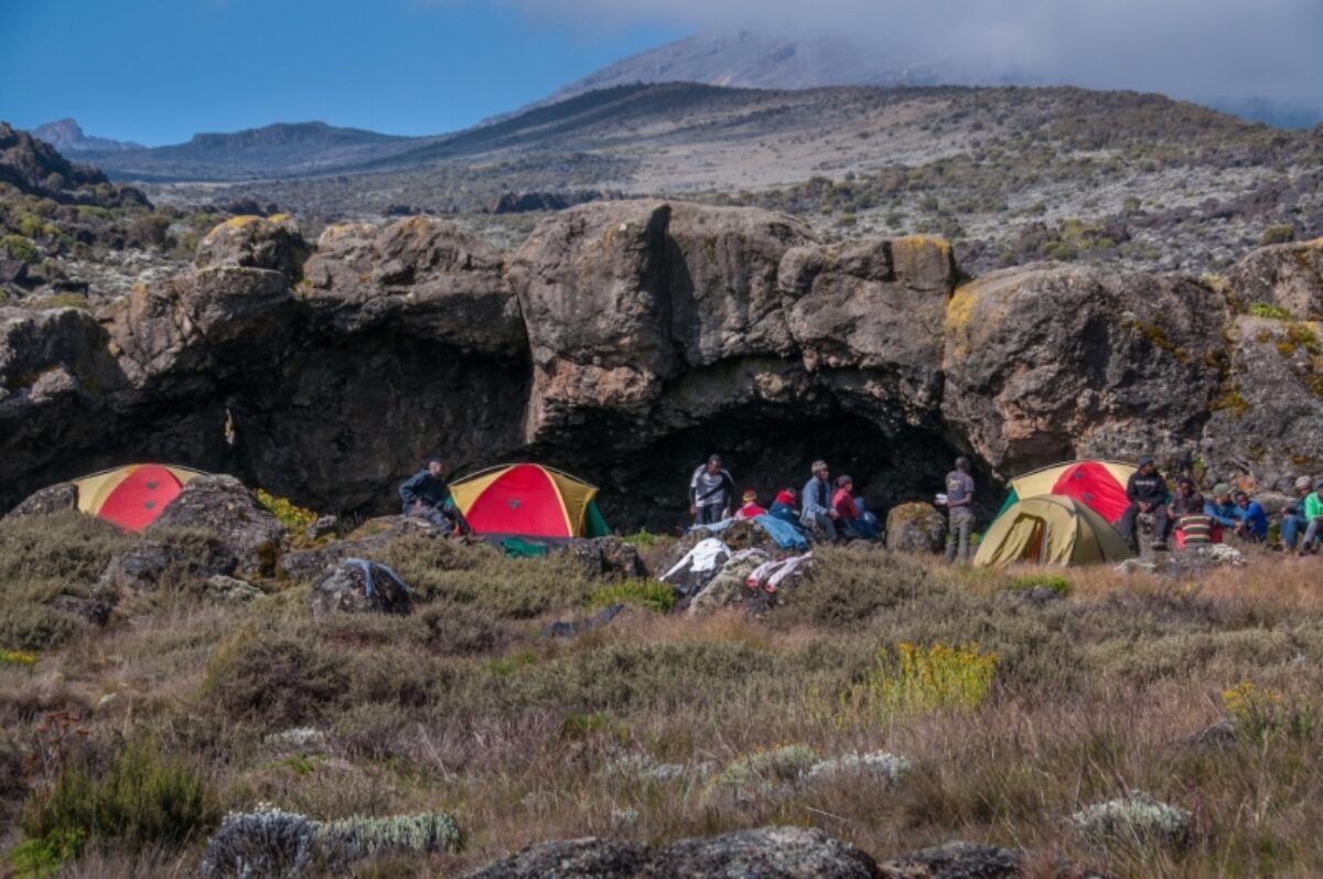 Mti Mkubwa to Shira 1 Camp