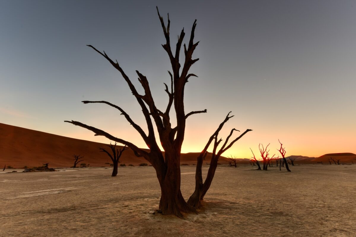 Wake early for sunrise at Deadvlei