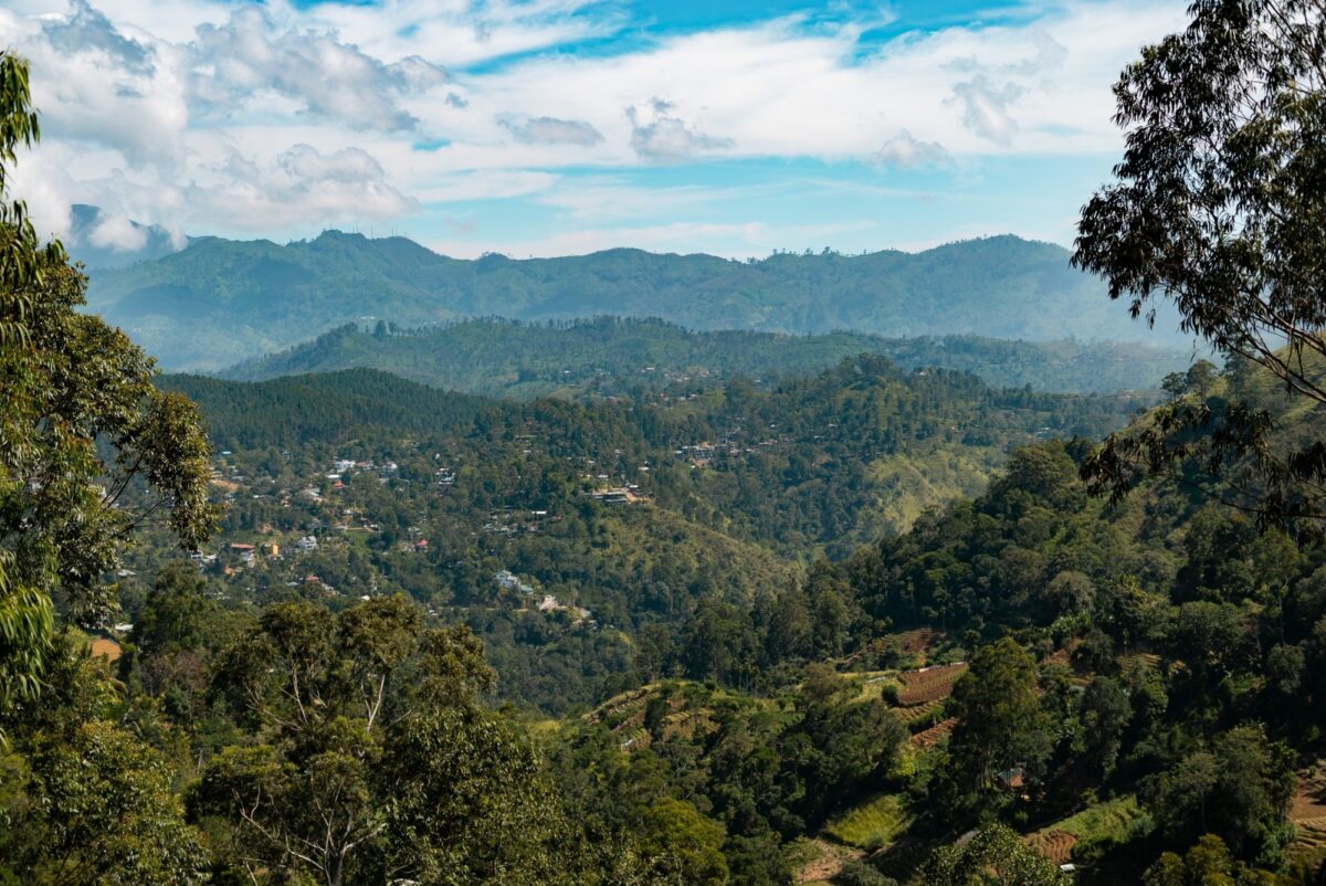 Off the beaten path in tea country