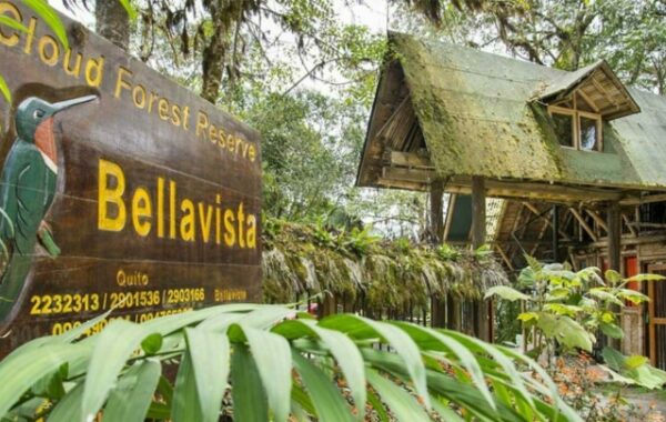 Bellavista Cloud Forest Lodge