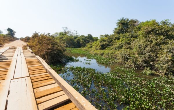 Explore the Pantanal on the Transpantaneira Highway