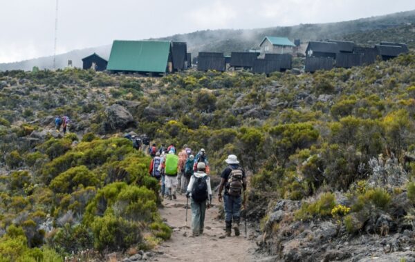 Kilimanjaro Marangu Route