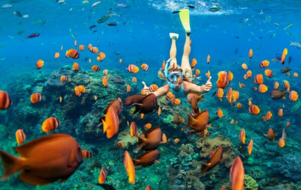 Go snorkelling at Banana Reef