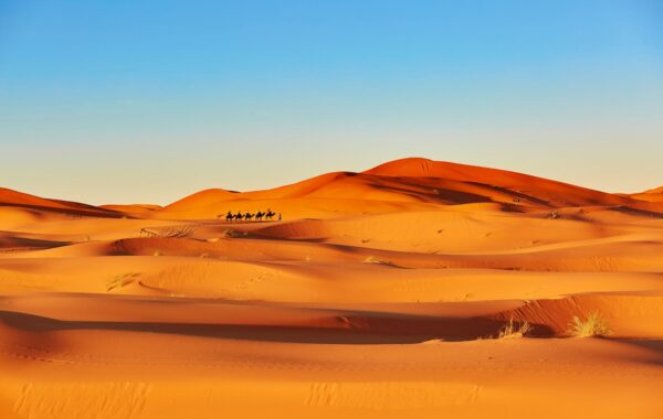 Watch the sunrise over the Sahara