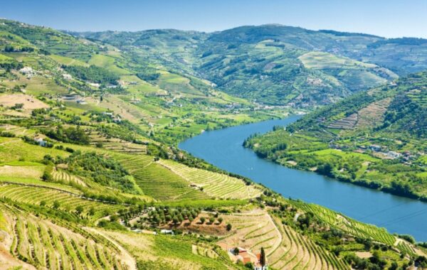 Douro Valley walking holidays