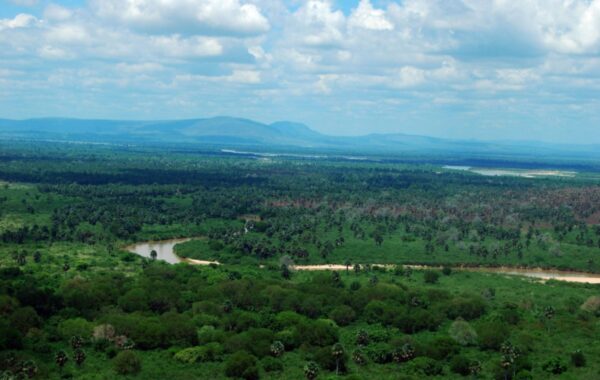 Best for African wild dogs & canoe safaris