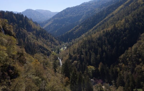 Hiking in Borjomi-Kharagauli National Park