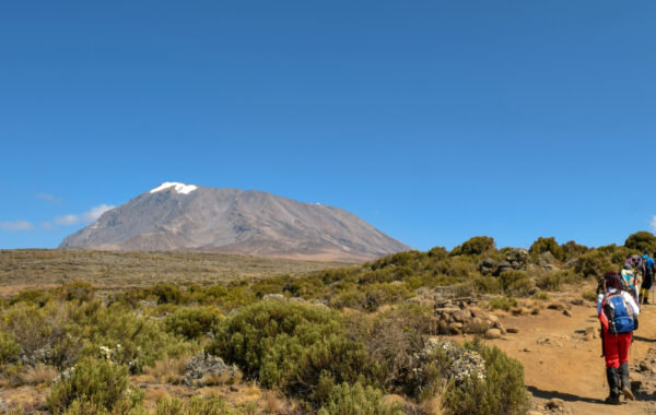 Mount Kilimanjaro Lemosho route