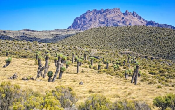 Hike to Horombo huts