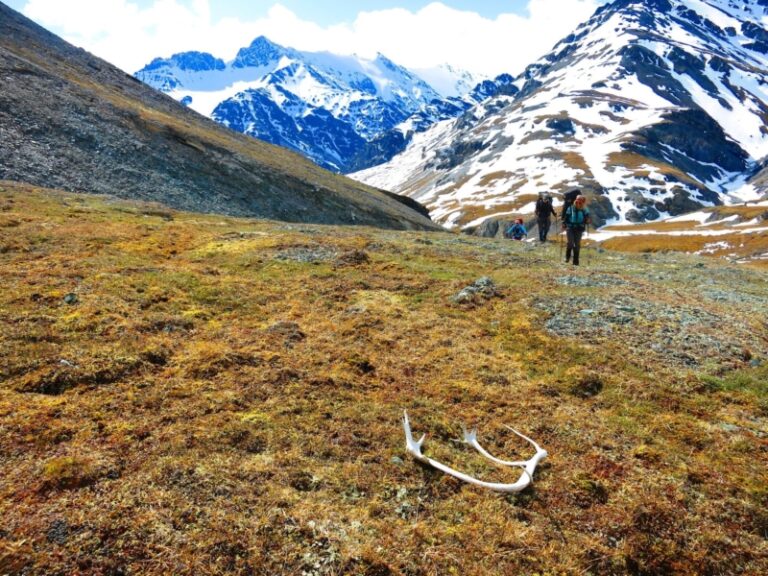 Alaska Alpine Adventures