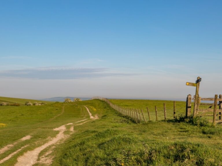 South Downs Discovery
