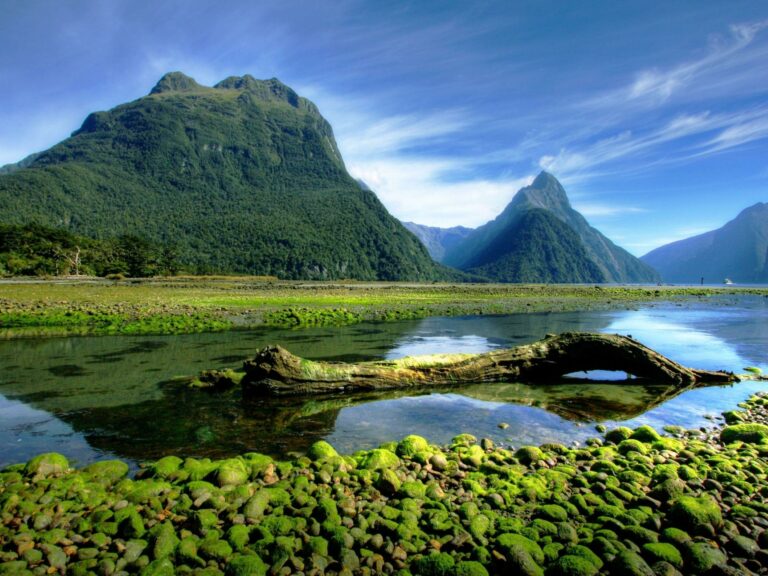 Milford Sound