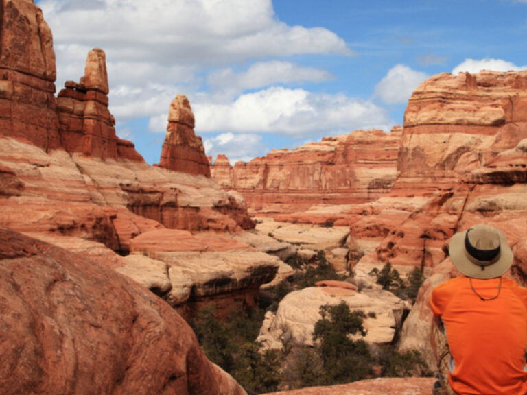 Off The Beaten Path