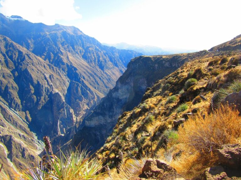 Arequipa & the Colca Canyon