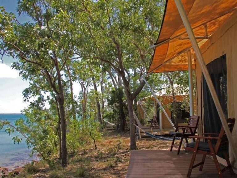 Venture North Safaris