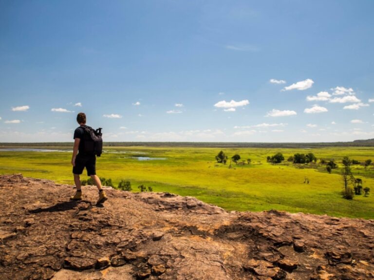 Venture North Safaris